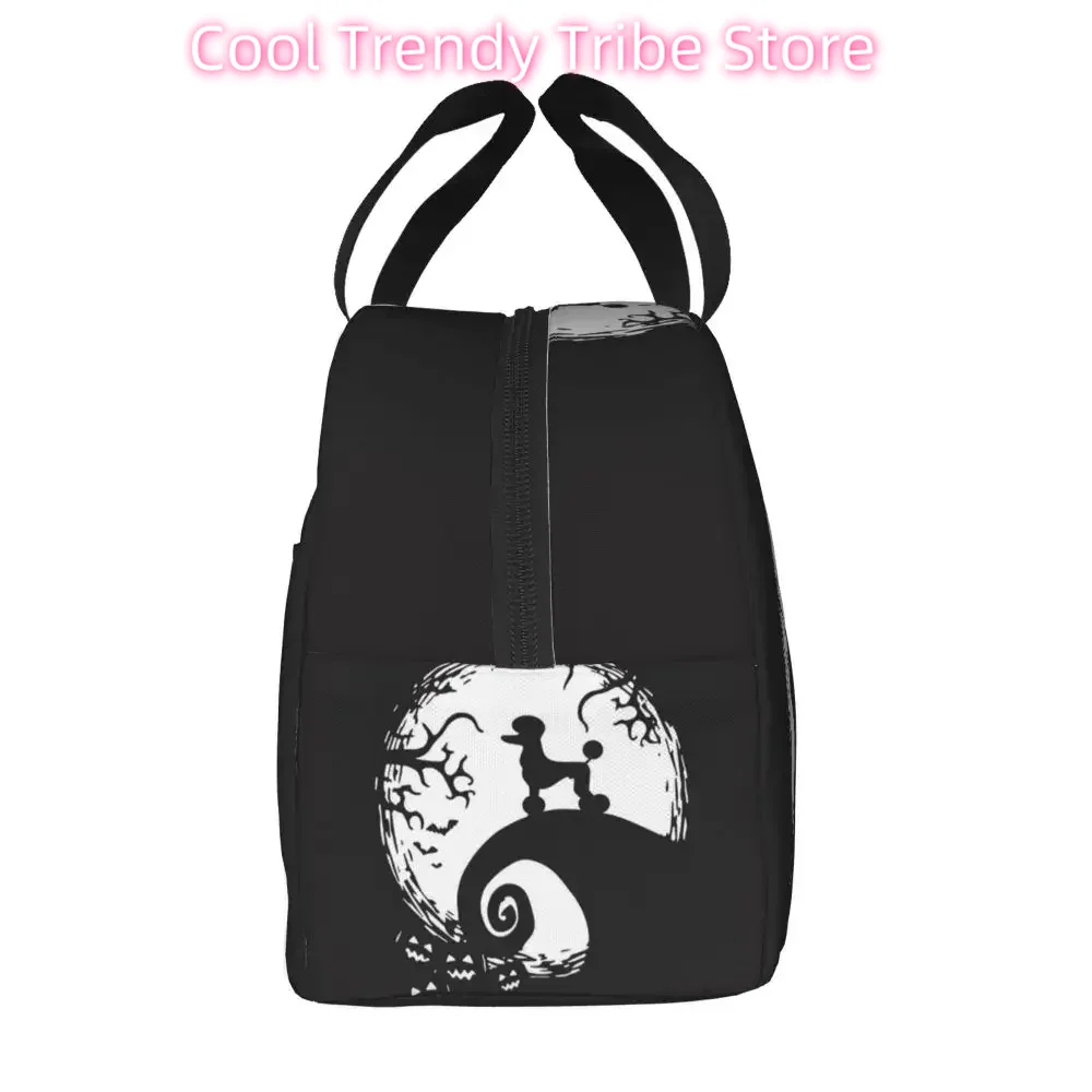 Isolierte Lunchtasche mit Fran – Women'S Best Bags For Work Bewertung und Preis