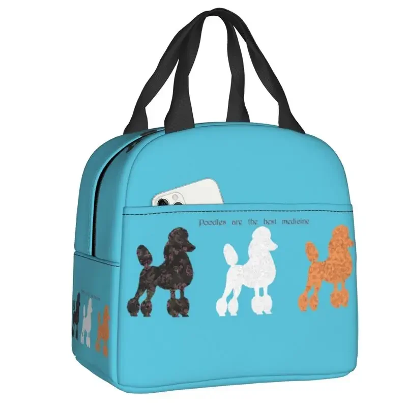 Isolierte Lunchtasche mit Fran – Women'S Best Bags For Work Bewertung und Preis
